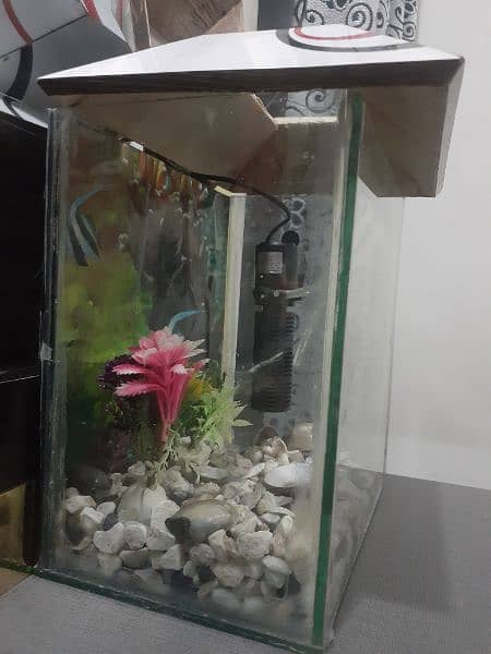 Fish Aquarium & Filter 2