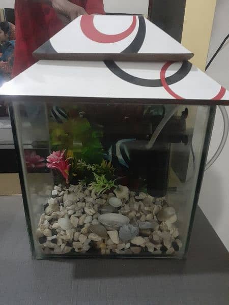 Fish Aquarium & Filter 3