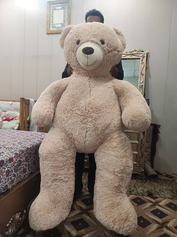 Giant Teddy Bear 3