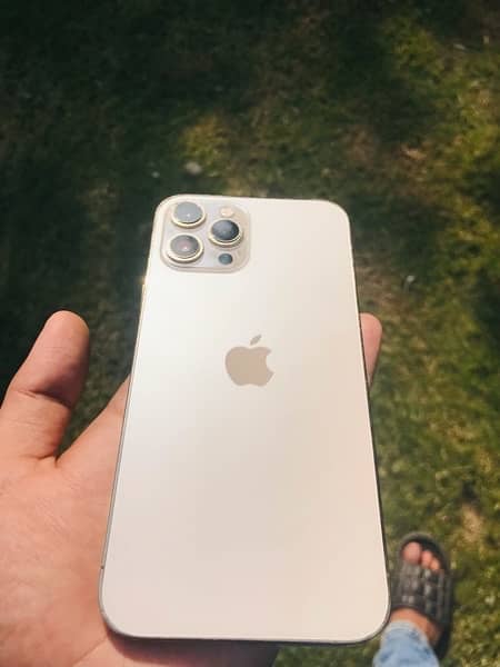 IPhone 12 Pro Max (Hk) (PTA APPROVED) 1