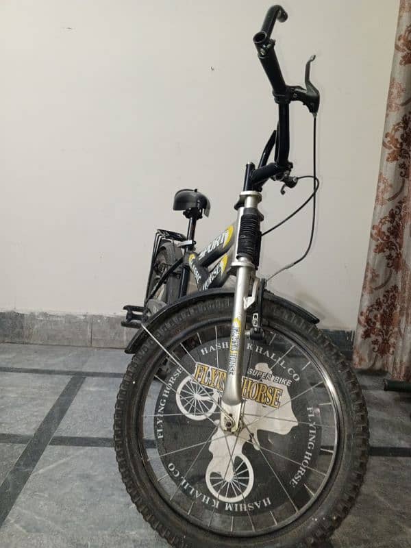 China Bicycle 20 inch for sale 2