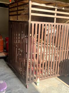 jumbo size cage for dogs