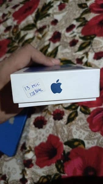 i Phone 13 Mini 3