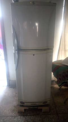 PEL fridge/refrigerator  for sale