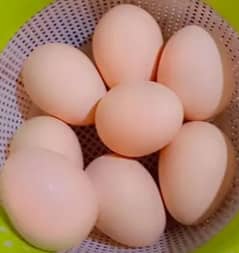 Desi eggs 500 rupe darjan 03076109536 0