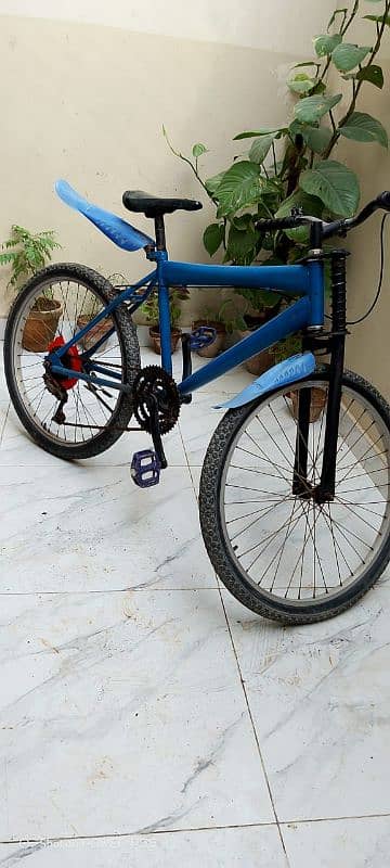 Cycle for Sale 1