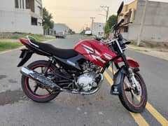 ybr 125g 0