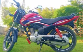 Honda CBF 125  125 2021 (0302-5328032)