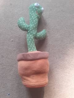 dancing cactuse for kids