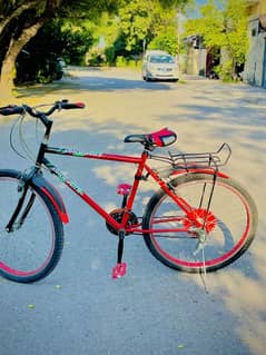 phoenix bicycle 26number size 0