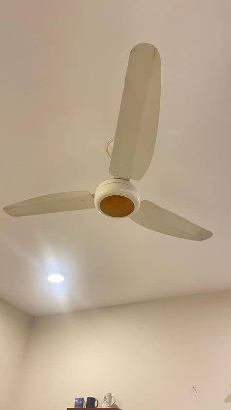 Ceiling fan for sale 1