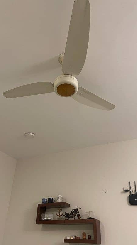 Ceiling fan for sale 2