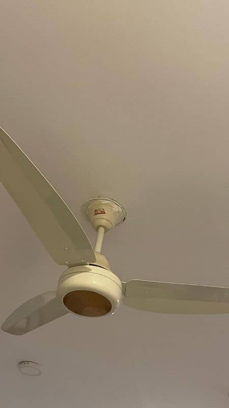 Ceiling fan for sale 4