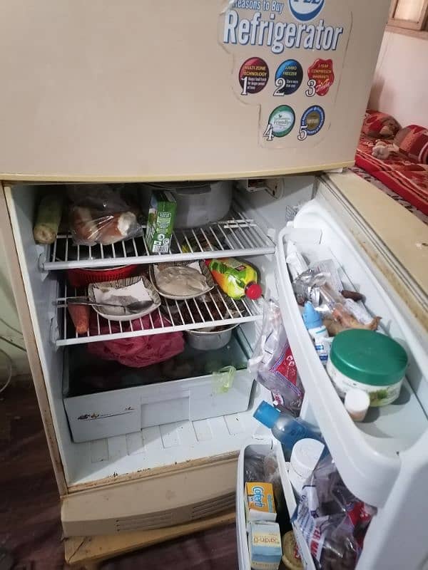 pel refrigerator 3