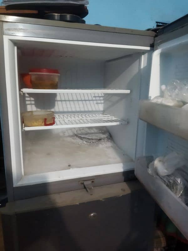 pel fridge 2