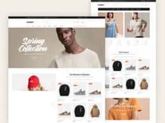 premium Shopify store designer For make store designed