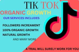 TikTok promotion services