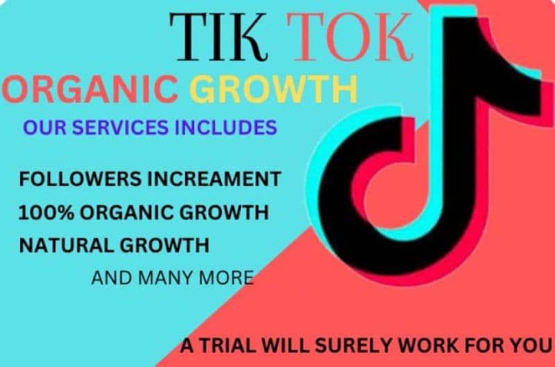 TikTok promotion services 0