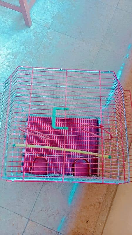 Birds Cage Slightly Used 2