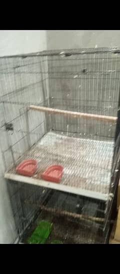 pinjra (Cages) for sale