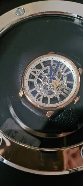 Brand new Cartier Automatic skeleton Gents wrist watchi 11