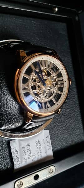 Brand new Cartier Automatic skeleton Gents wrist watchi 16