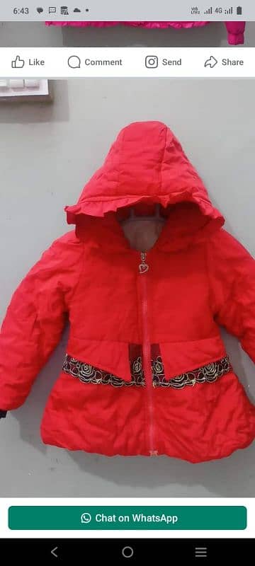 imp branded kids winter jackets collection 4