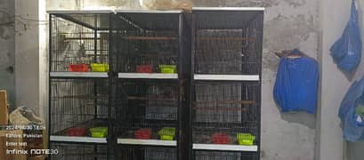 3  Breading cage available 4 portion. 1.5/2size