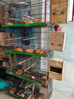 2 bird cage 6*3