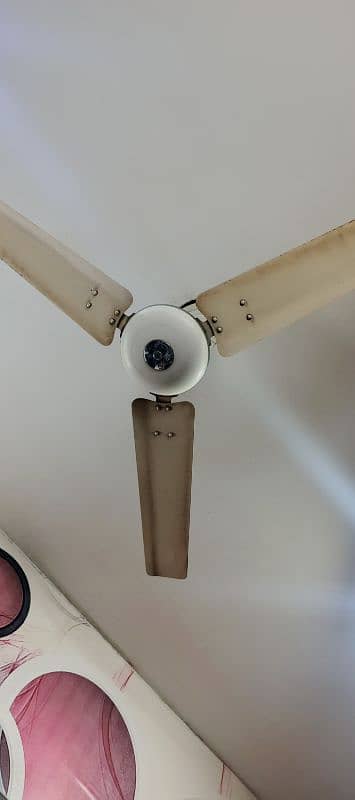 sealing fan for sale 1