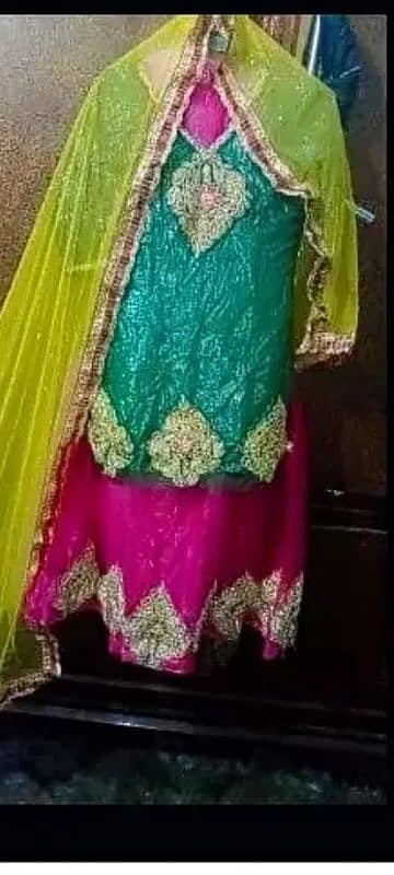 simple but decent designs and colours collection lehnga mehndi 2