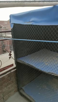 cage for sale length 6ft width 5ft 10/10 condition final price 27k