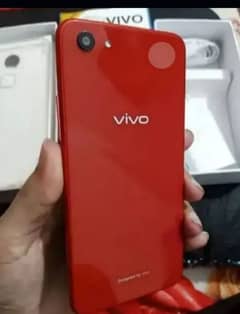 Vivo