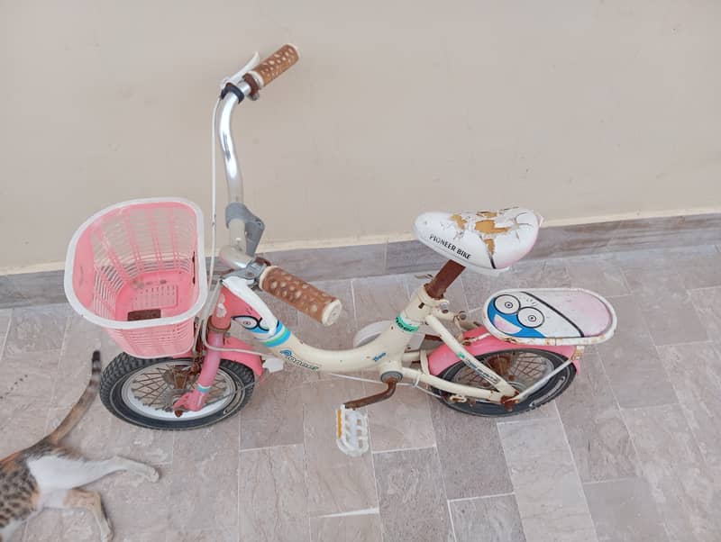 bicycle for girls 1