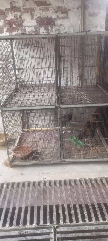 cage for sale 2