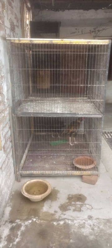 cage for sale 4