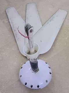 Asia ceiling fan 48 inch for sale