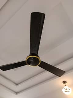 ceiling fan pk fan