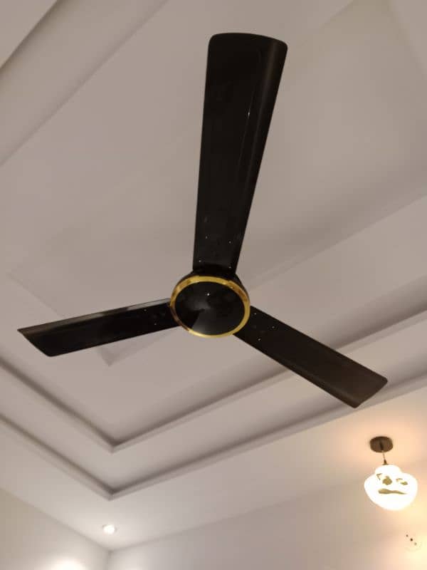 ceiling fan pk fan 1