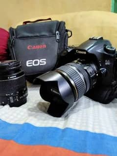 canon 60d  professional body