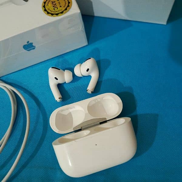 Earpods 1