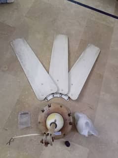 Pak ceiling fan for sale