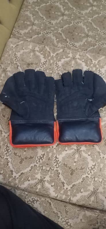 keeping pad and keeping gloves 2