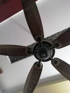 Royal Ceiling Fan 5 Blades