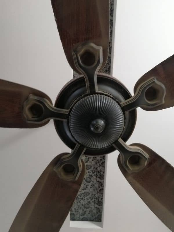 Royal Ceiling Fan 5 Blades 1