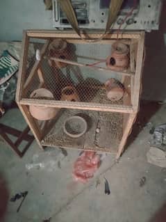 parrot cage