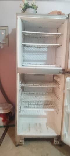 PEL refrigerator