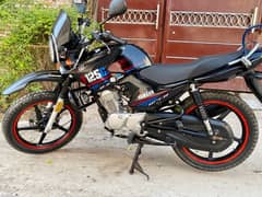 Yamaha YBR 125G 2023 Model Good Condition 0