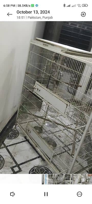 cage for sale 2