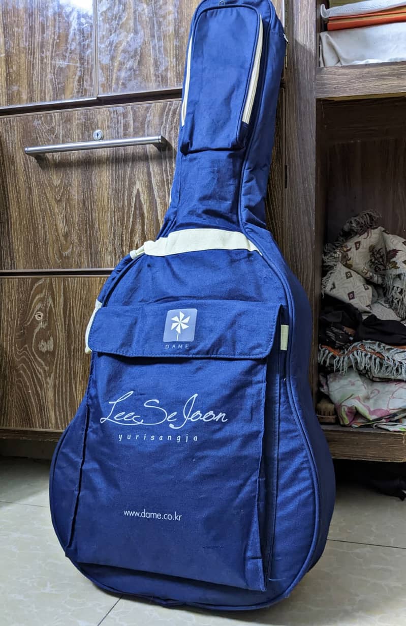 Guitar Padded Bag 4